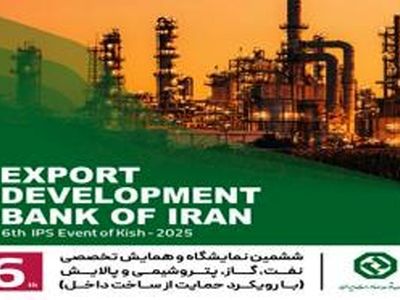بررسی راهکارهای تأمین مالی صنعت نفت، گاز و پتروشیمی در پنل تخصصی بانک توسعه صادرات ایران