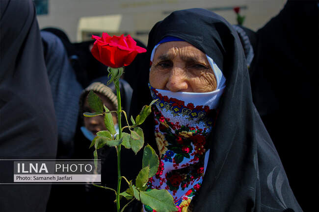 گلباران مسیر حرم امام رضا(ع) با حضور دختران مشهدی