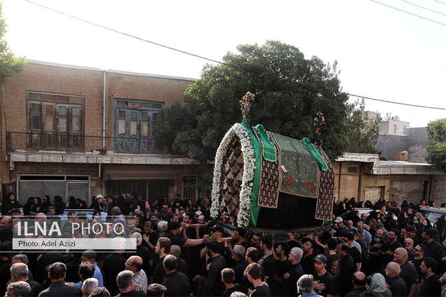 مراسم کهن نخل گردانی تفرش در عصر عاشورا