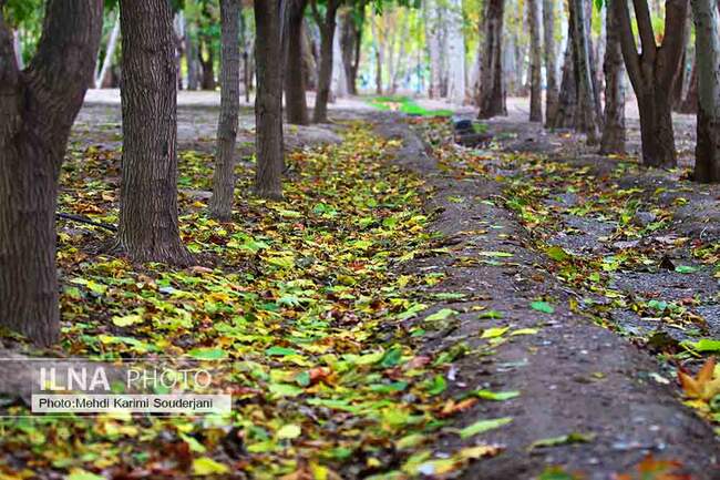 IMG_1417 copy