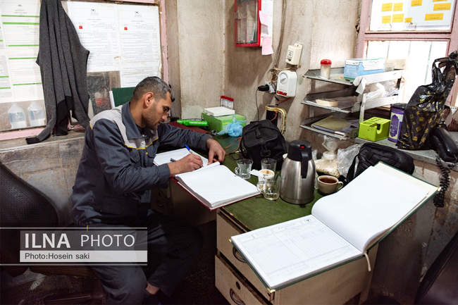 خودکفایی در تولید شیر با تلیسه نمونه