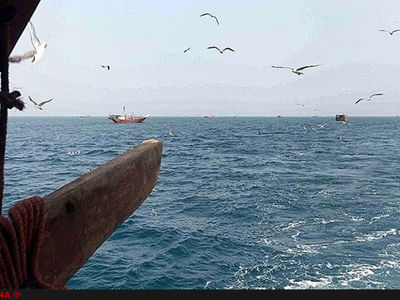 صیادان چابهاری بدون ردیاب به دریا زدند