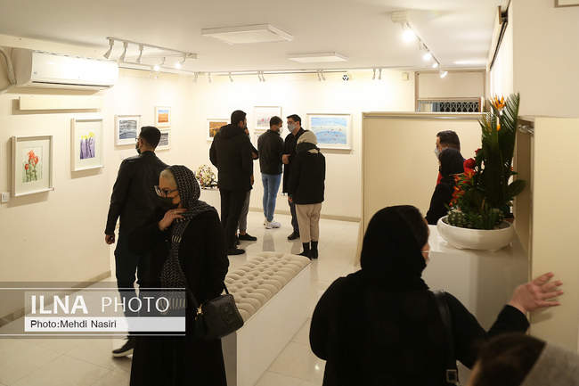 نمایشگاه نقاشی مریم حیدرزاده 