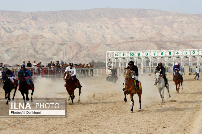 یازدهمین کورس اسب دوانی جنوب کشور به میزبانی هرمزگان