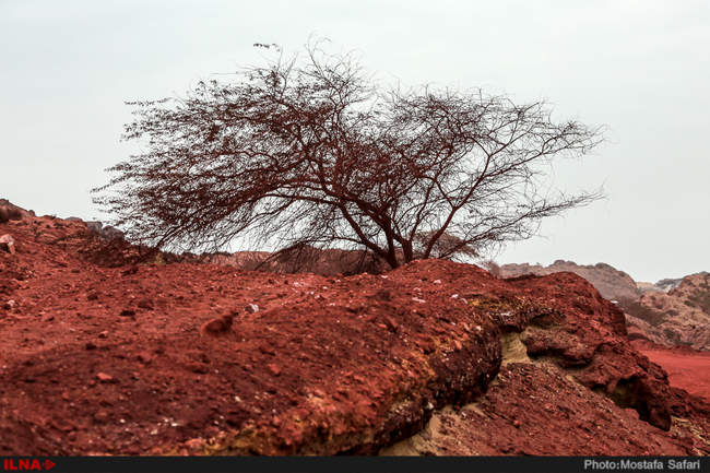 ایران زیبا / هرمز ، جزیره هفتادو دو رنگ 