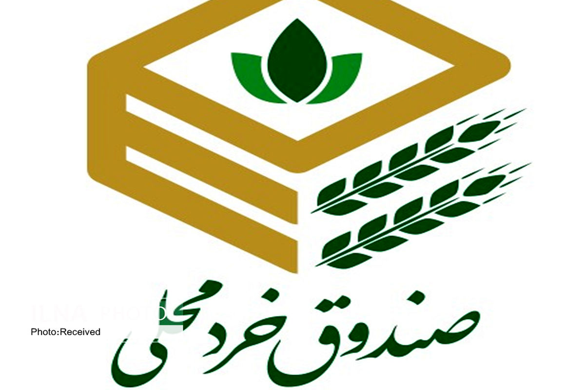 85 صندوق اعتبارات خرد زنان روستایی در قزوین فعال است