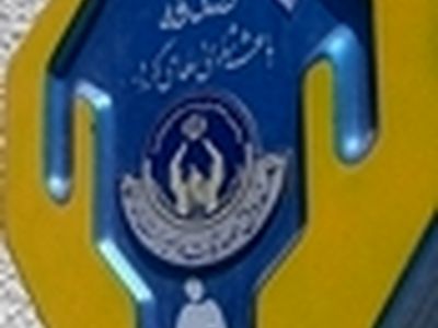 جمع‌آوری ۴۰۱ میلیون ریال کمک غیرنقدی در خانه انفاق زنجان