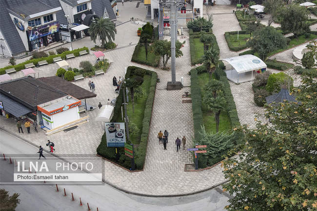 چشم انداز جنگل و دریا در قاب طبیعت