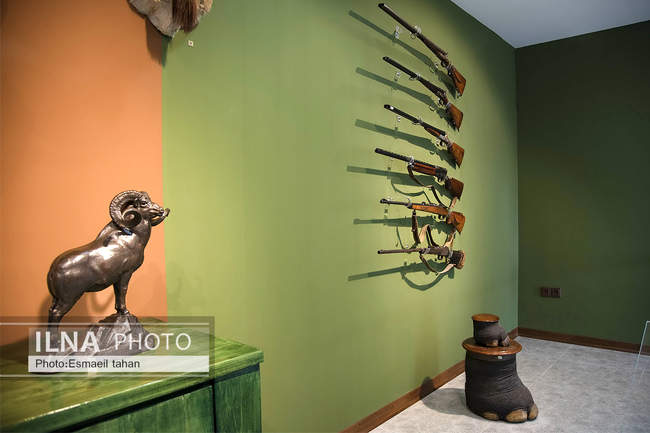 پردیس موزه ای رامسر، دریچه ای به مسیری که پیموده شده