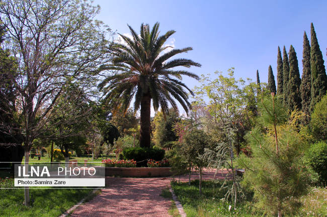  فصل بهار در باغ ارم شیراز