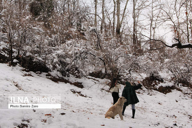طبیعت برفی روستای قلات