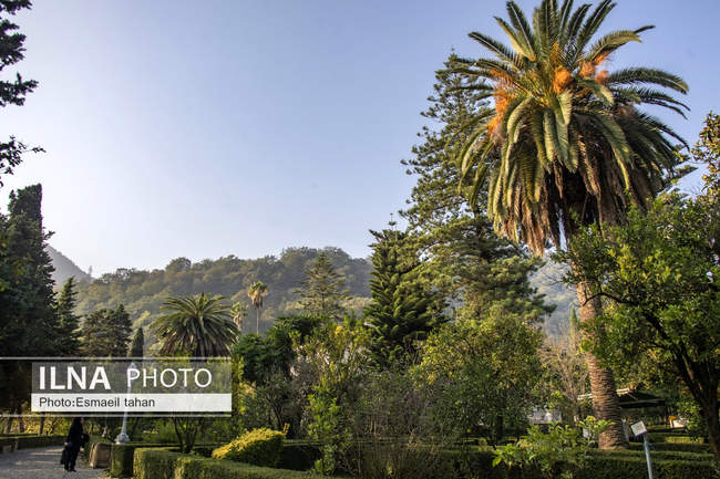 پردیس موزه ای رامسر، دریچه ای به مسیری که پیموده شده