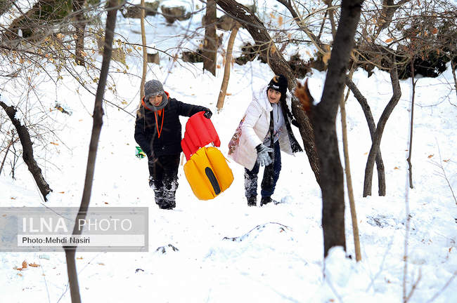 برف زمستانی پارک جمشیدیه