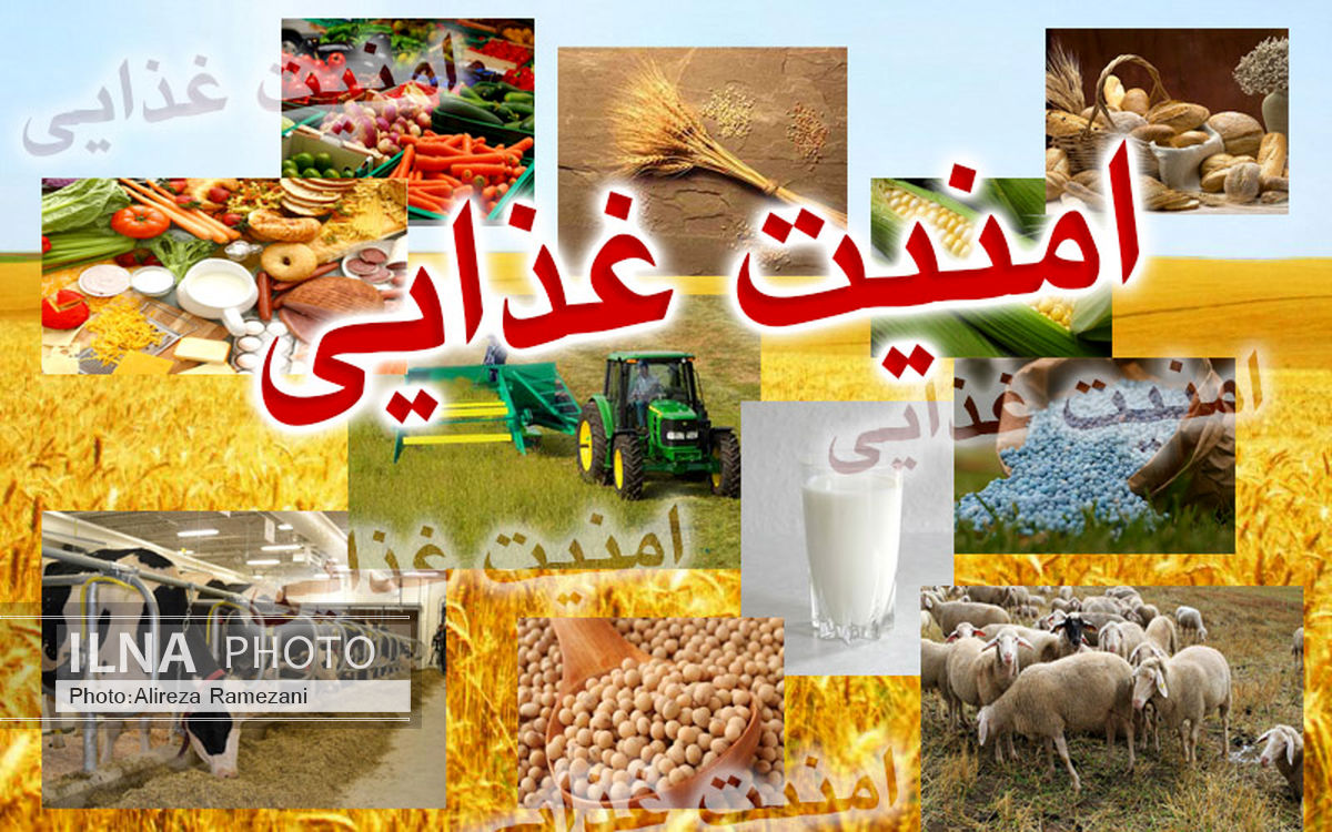 امنیت غذایی کشور تنها با فرهنگ و مدیریت جهادی محقق می‌شود