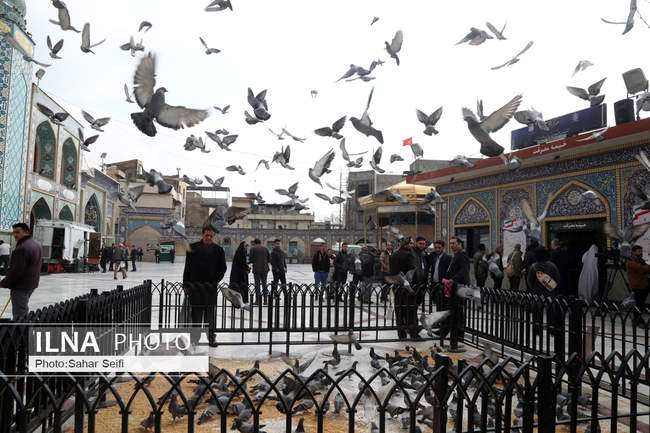 یازدهمین دوره انتخابات مجلس شورای اسلامی و میان‌ دوره‌ای خبرگان ره