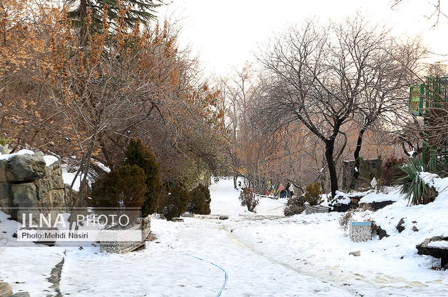 برف زمستانی پارک جمشیدیه