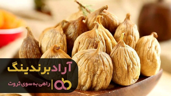 خرید انجیر خشک بدون واسطه از تولیدکننده