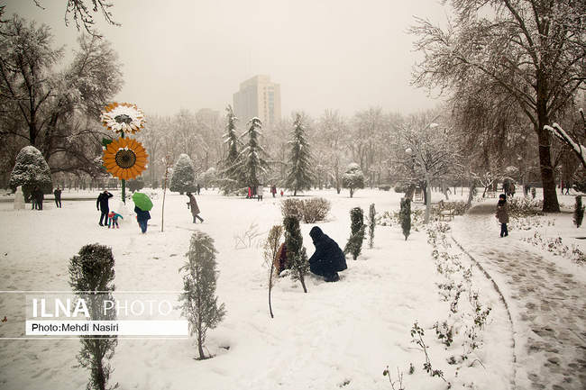 بارش برف زمستانی در تهران /2