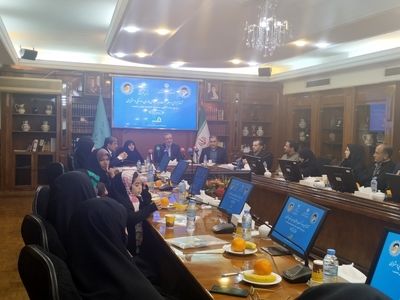 آغاز اجرای طرح بیمه مادران دارای سه فرزند روستایی و عشایر