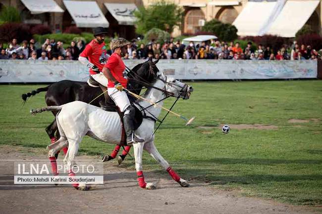 IMG_4978 copy