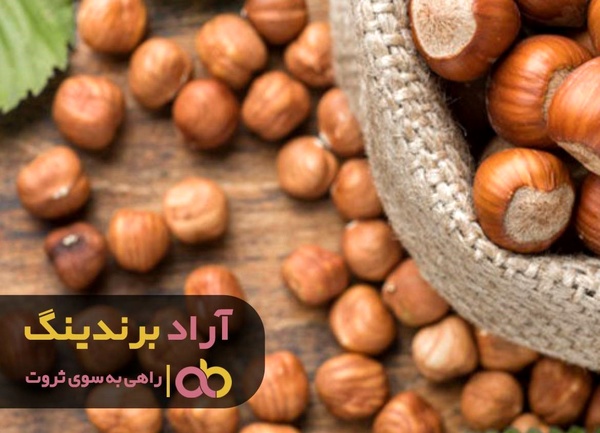 مغزهای مقوی، به ثروتم جان تازه ای دادند