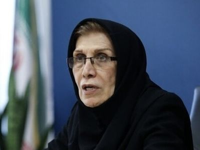زنان مجرد در روستاها، وضعیت شغلی مناسبی ندارند