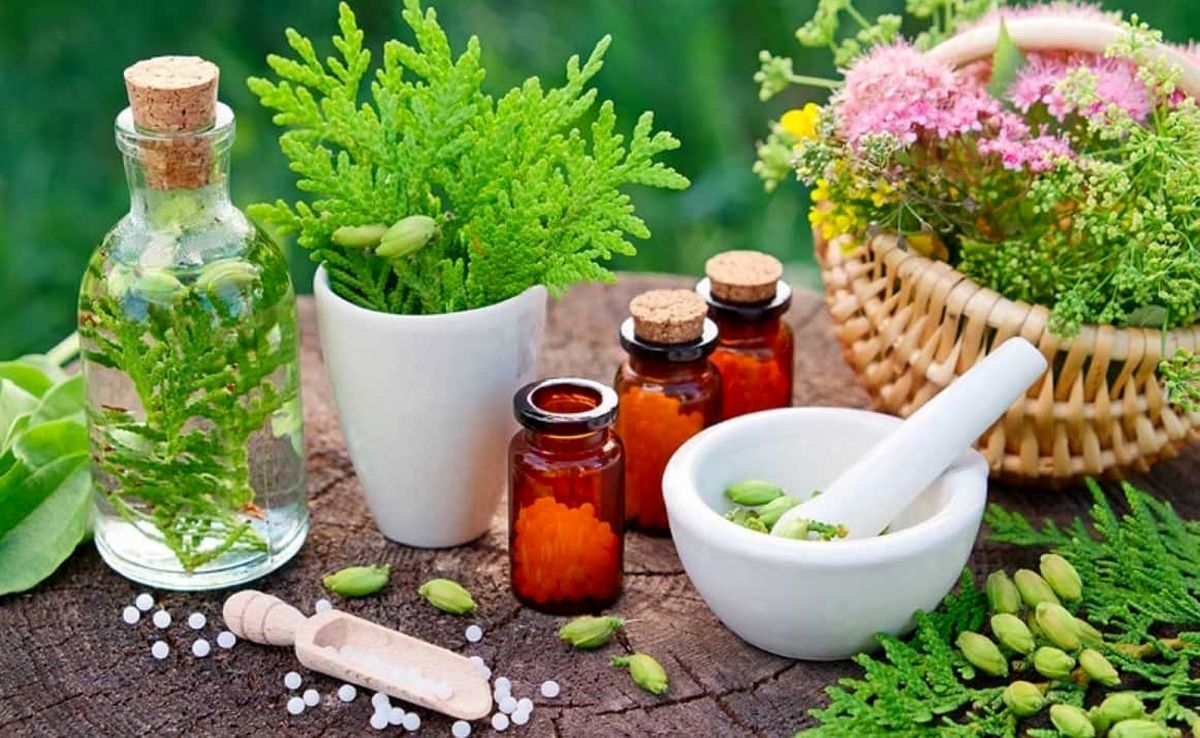 درآمد حاصل از صادرات گیاهان دارویی می‌تواند جایگزین درآمدهای نفتی شود