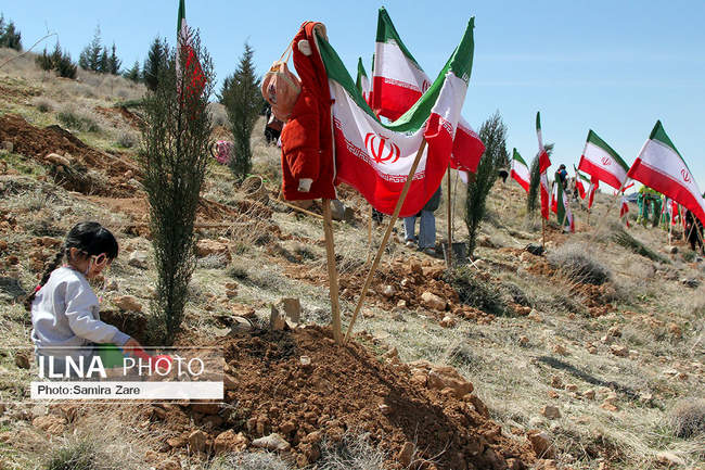 مراسم روز درختکاری