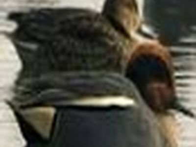 کاهش جمعیت مرغابی ها در لاهیجان