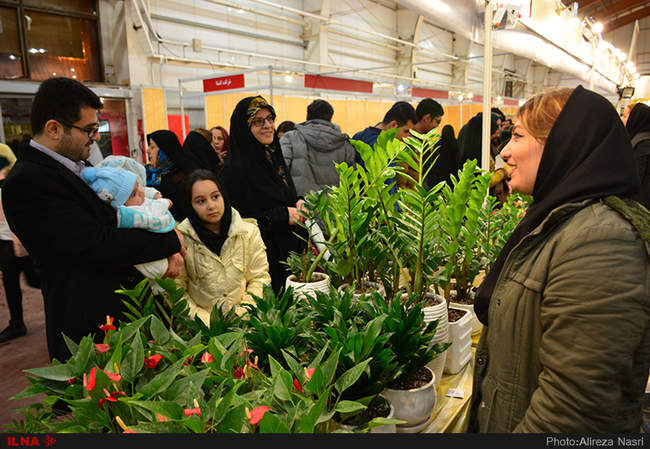 نمایشگاه گل و گیاه در استان قزوین