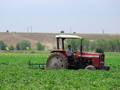 پرداخت وام  ۳۰ میلیون تومانی اشتغال روستایی