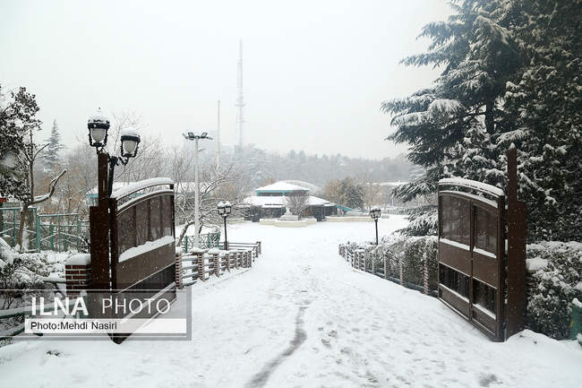 پارک ملت در یک روز برفی