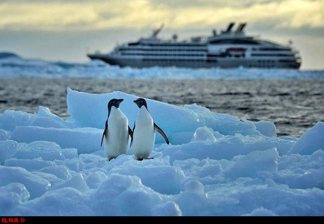 سفری به قطب جنوب