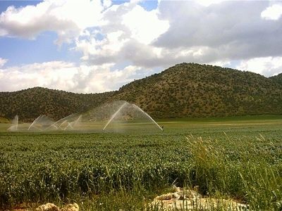 ۶۰ هزار هکتار از اراضی استان مجهز به سامانه‌های نوین آبیاری  شد