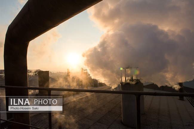 تولید شکر از چغندر قند 