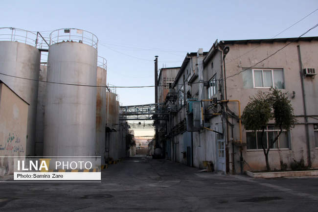 بازدید معاون روابط کار وزارت تعاون کار و رفاه اجتماعی از کارخانه روغ�