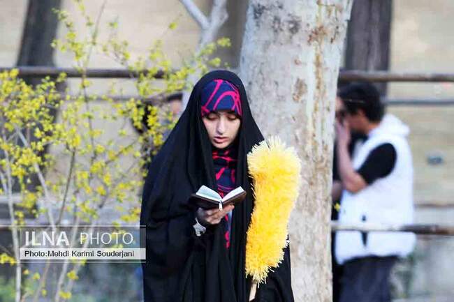 IMG_2917 copy