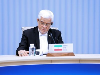 پیشنهاد استفاده از ریال یا پول دیجیتال را در اجلاس شانگهای ارائه کردیم