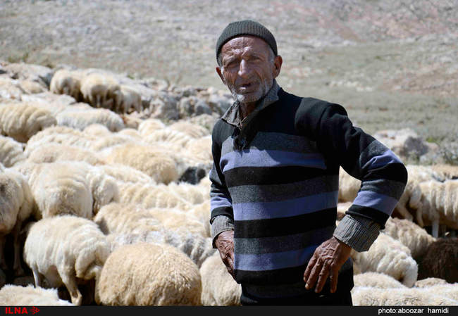 گذری بر بلندای بام گیلان (درفک) 