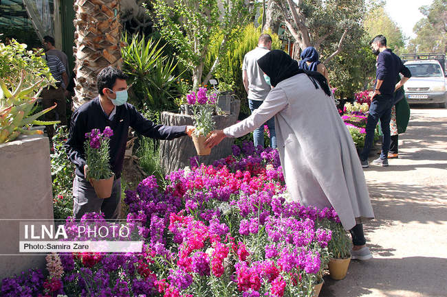 جنب و جوش مردم در واپسین ساعات قرن