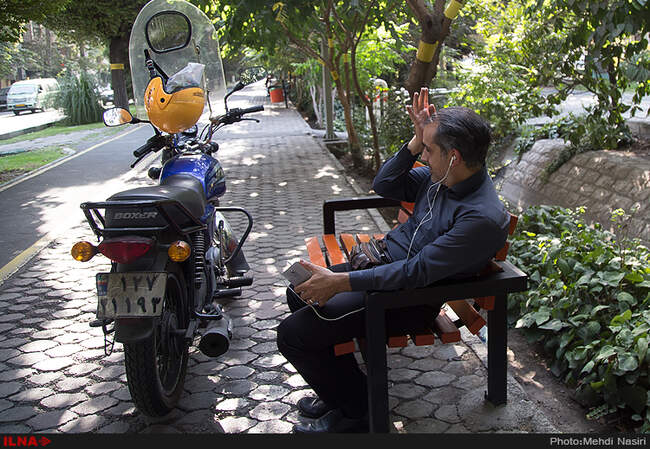 خیابانهای تهران در تصرف سفید بالک ها