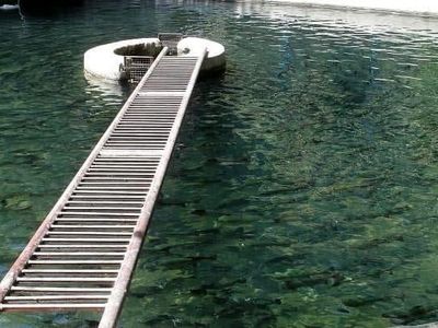 پاوه به قطب تولید آبزی پروری استان تبدیل می‌شود