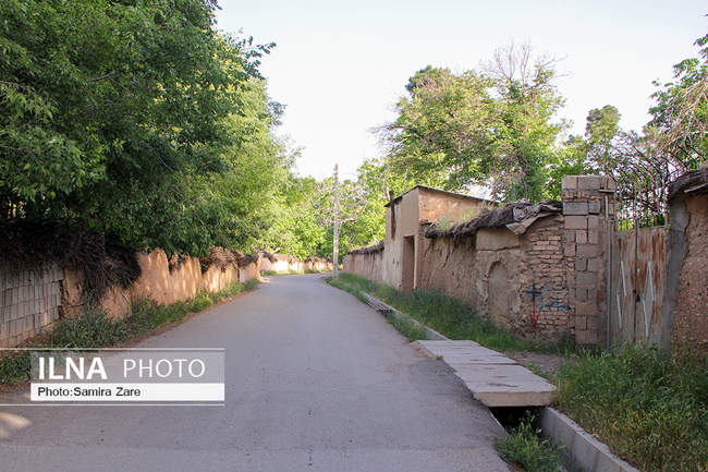 کوچه های شیراز