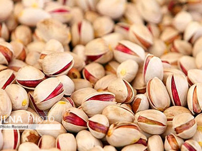 راه اندازی کارخانه نوآوری پسته و فرآورده‌های آن در دامغان