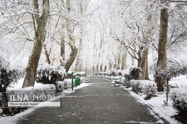 بارش برف در تهران