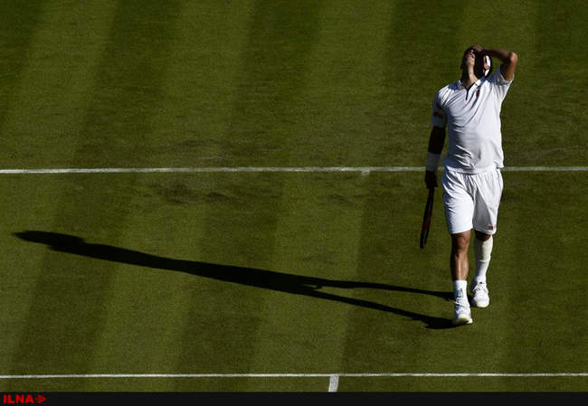 مسابقات تنیس ویمبلدون