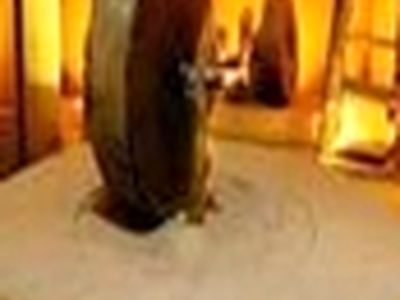 درب عصارخانه شاهی اصفهان به روی عموم مردم باز شد
