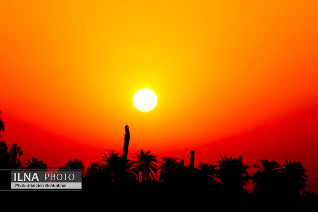 *سایهی غروب در قلب آبادان؛ روایت تصویری از زندگی، نگاه و نفسهای آخ