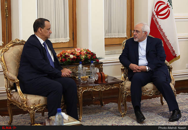  دیدار نماینده ویژه دبیرکل سازمان ملل متحد با محمد جواد ظریف