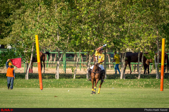 رقابتهای سه گانه چوگان هفته دولت ۱۳۹۵-کانون چوگان/قصرفیروزه